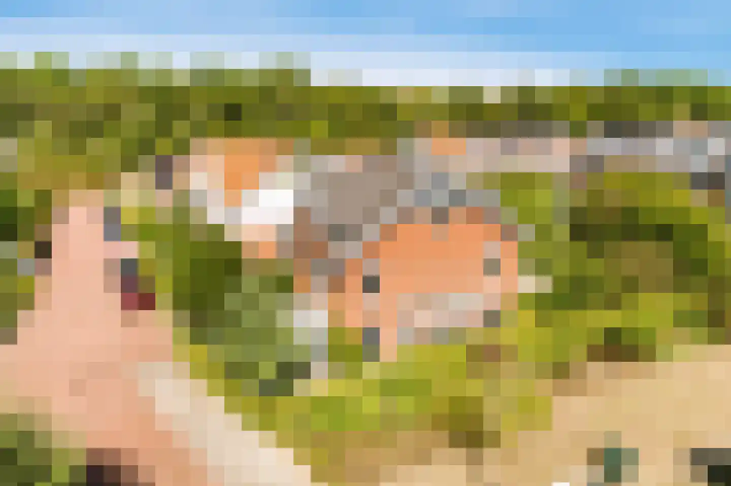 Koningsduin 19 Castricum thumbnail 47