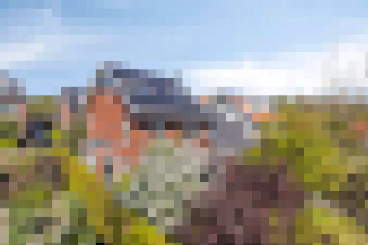 Koningsduin 19 Castricum thumbnail 48