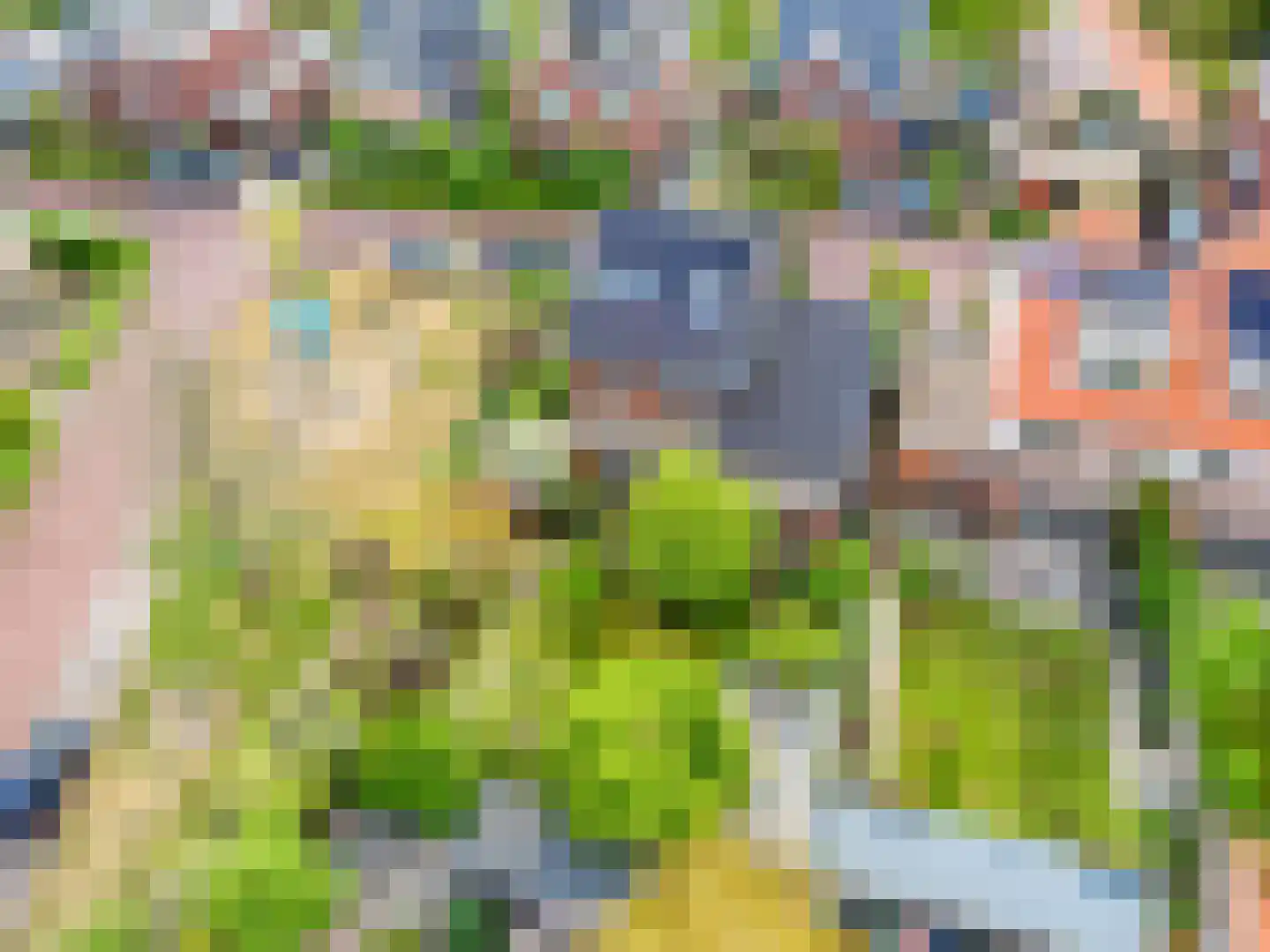 Koningsduin 19 Castricum thumbnail 51