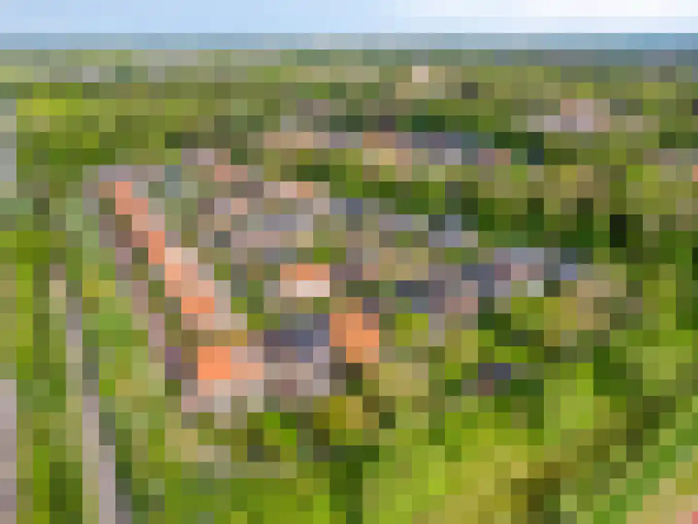 Koningsduin 19 Castricum thumbnail 53