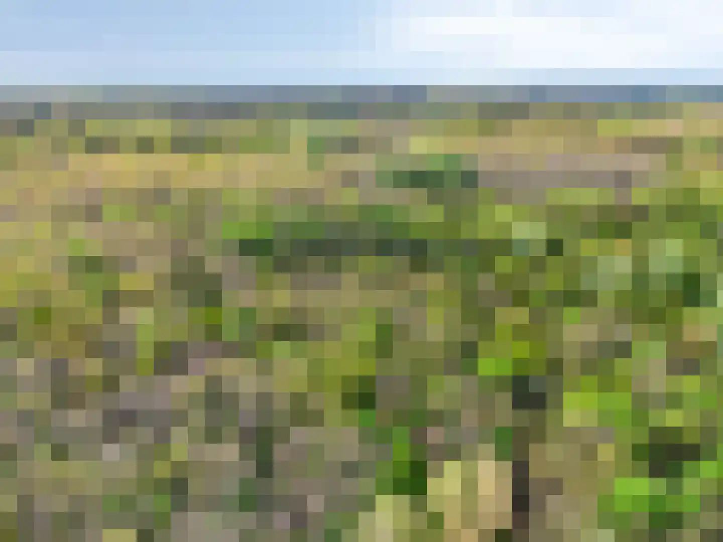 Koningsduin 19 Castricum thumbnail 54