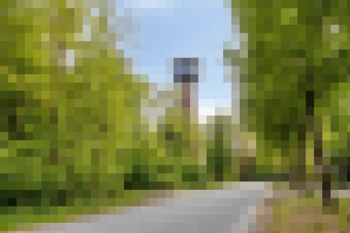 Koningsduin 19 Castricum thumbnail 56