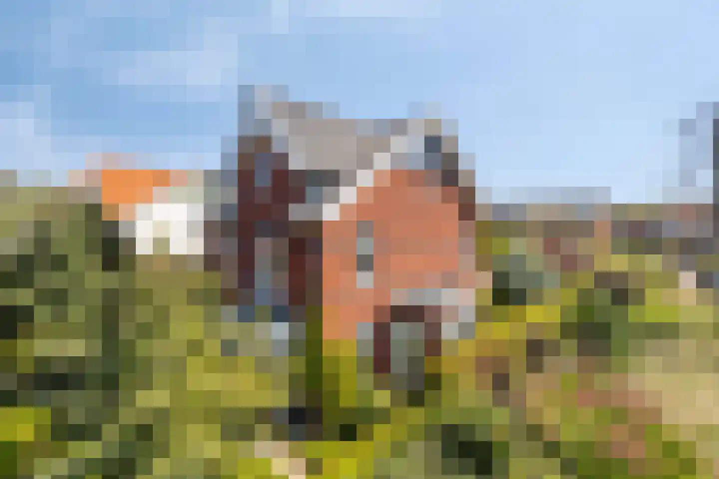 Koningsduin 19 Castricum thumbnail 57