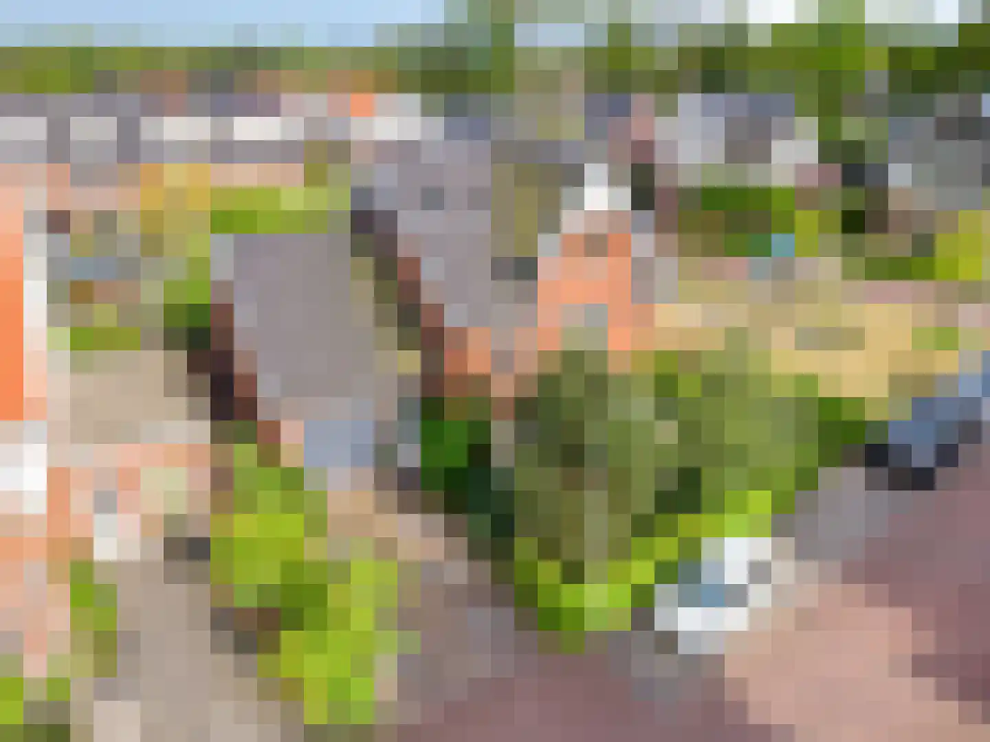 Koningsduin 19 Castricum thumbnail 58