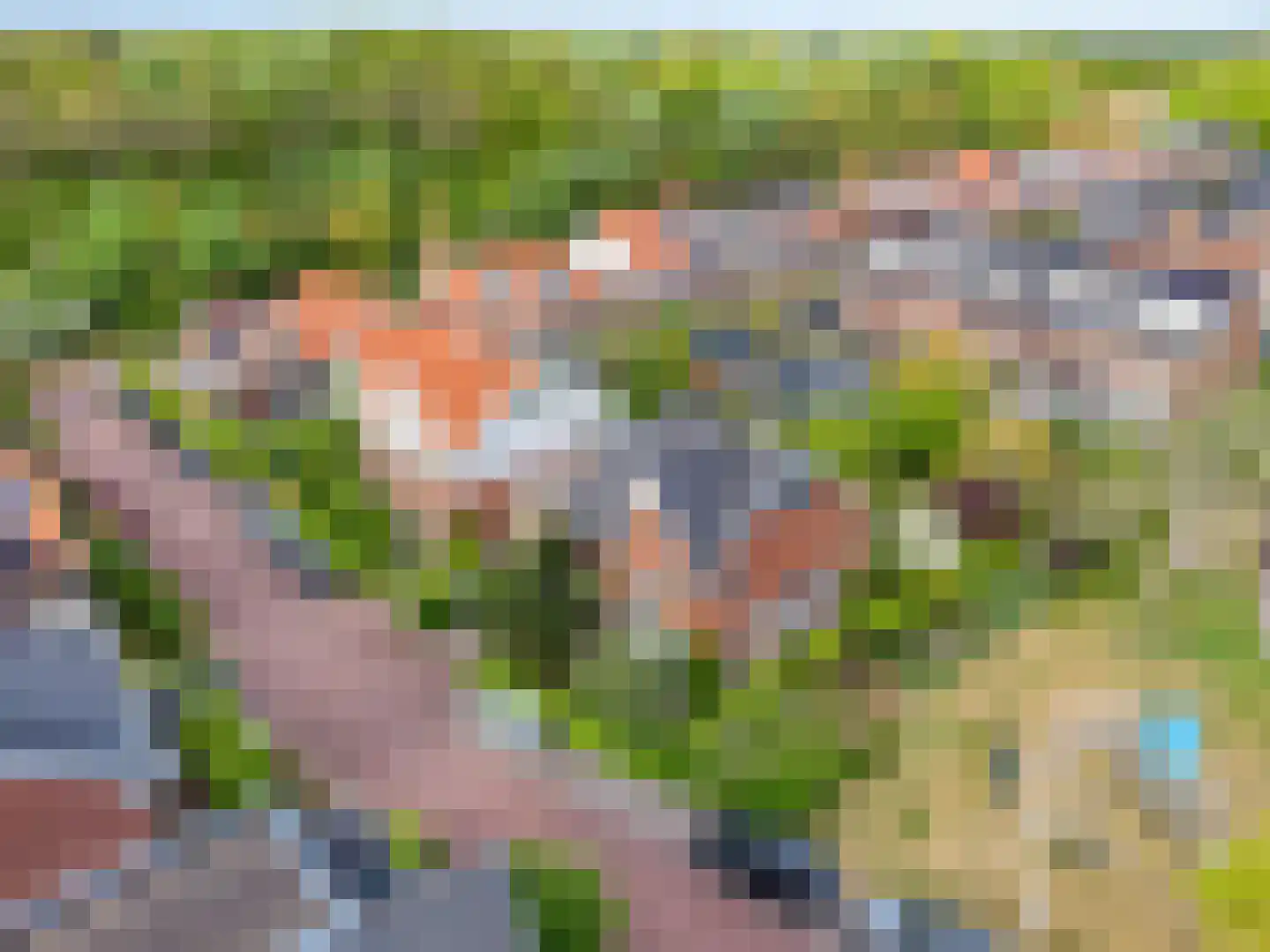 Koningsduin 19 Castricum thumbnail 59