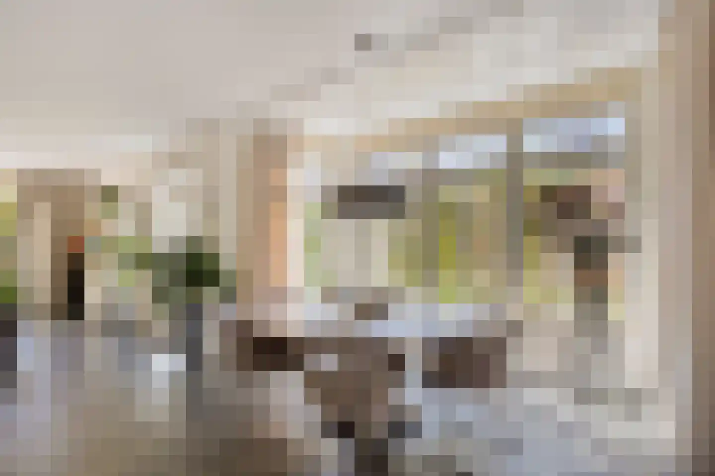 Koningsduin 19 Castricum thumbnail 6