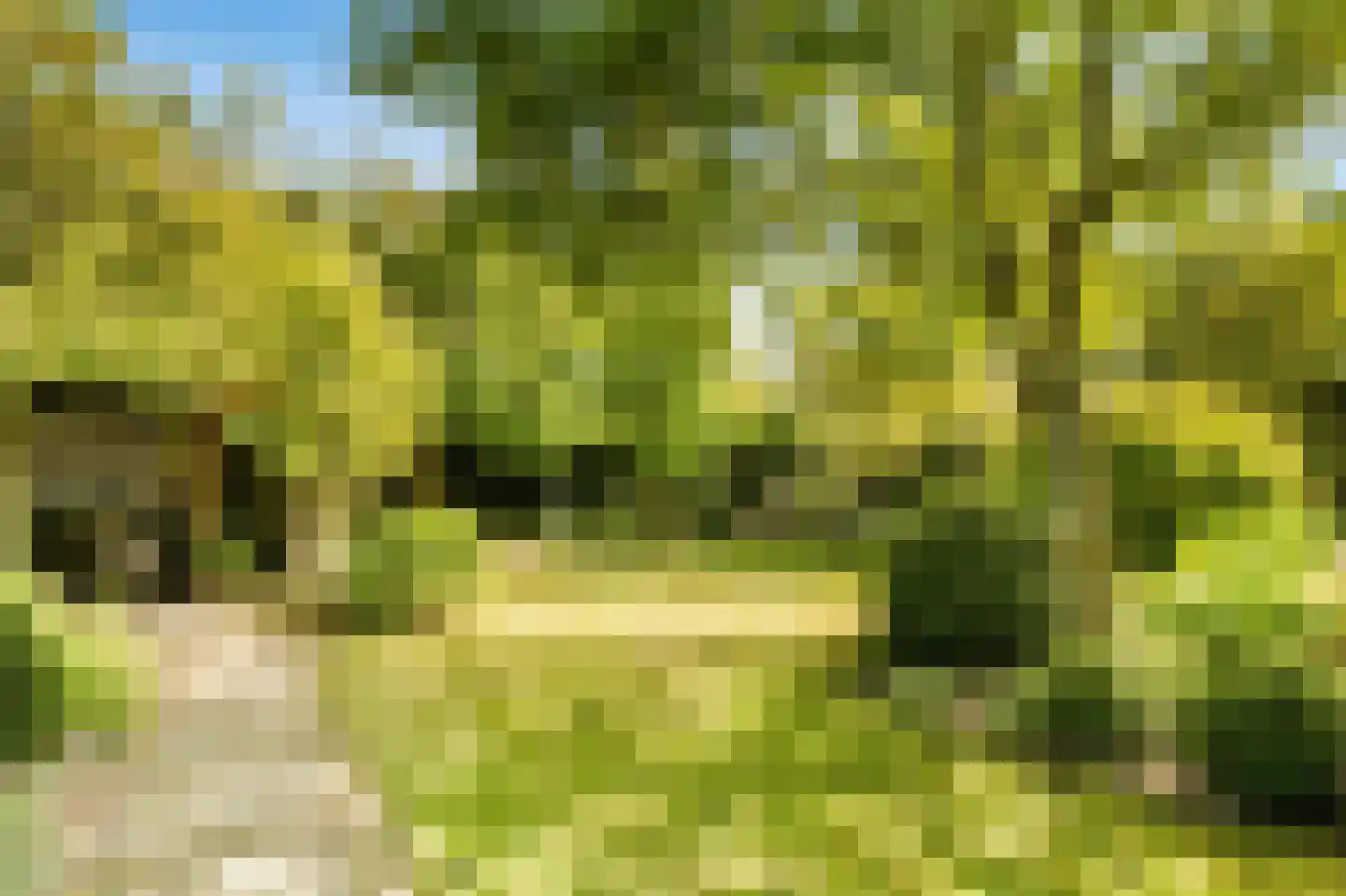 Koningsduin 19 Castricum thumbnail 6