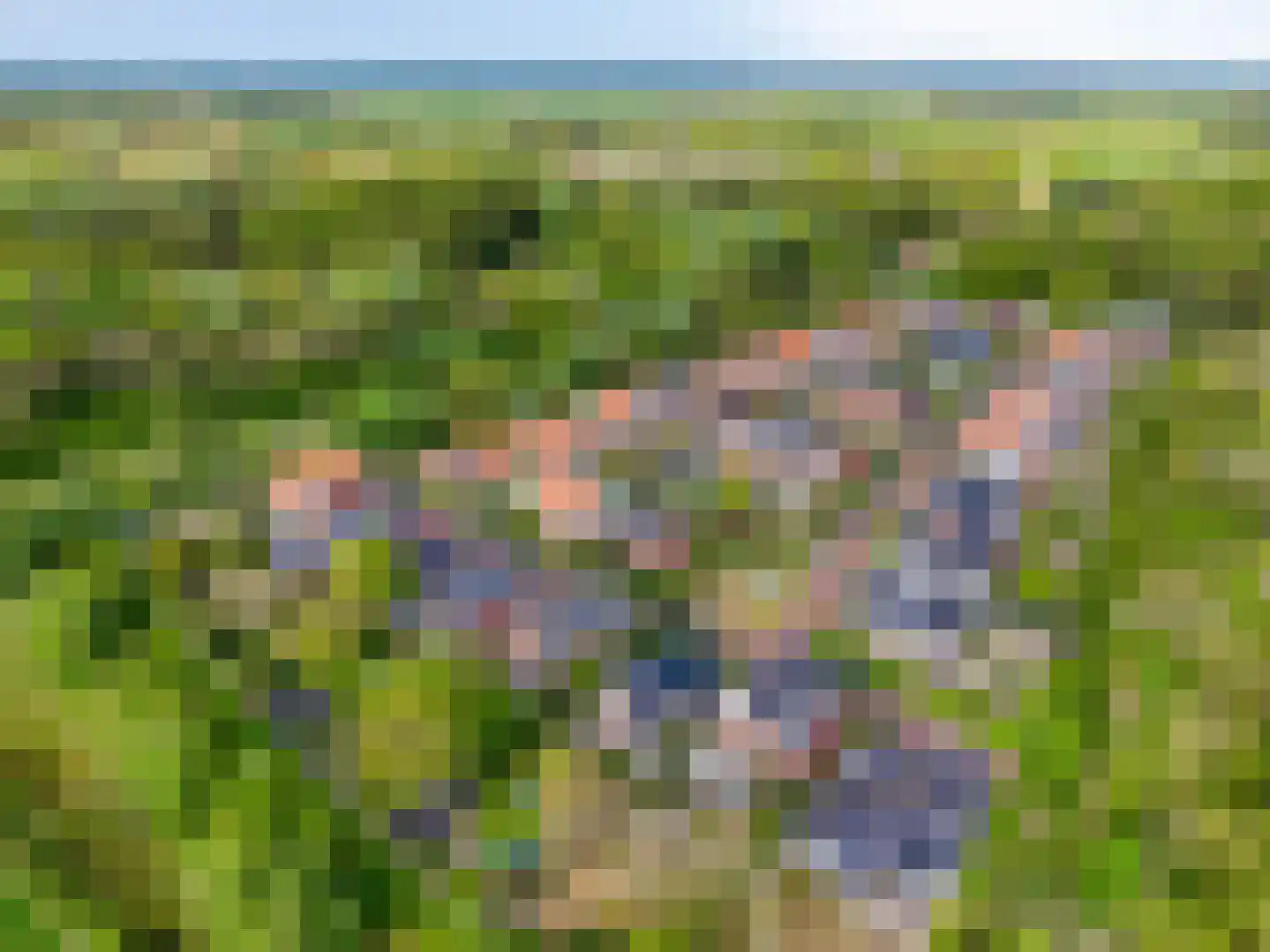 Koningsduin 19 Castricum thumbnail 60