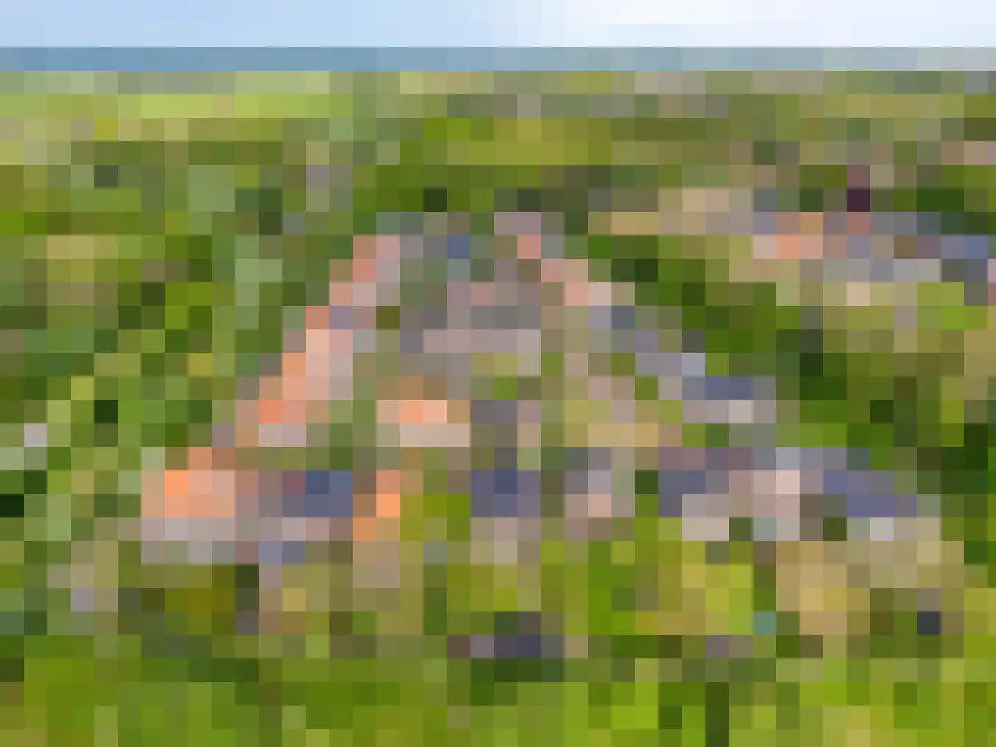 Koningsduin 19 Castricum thumbnail 61