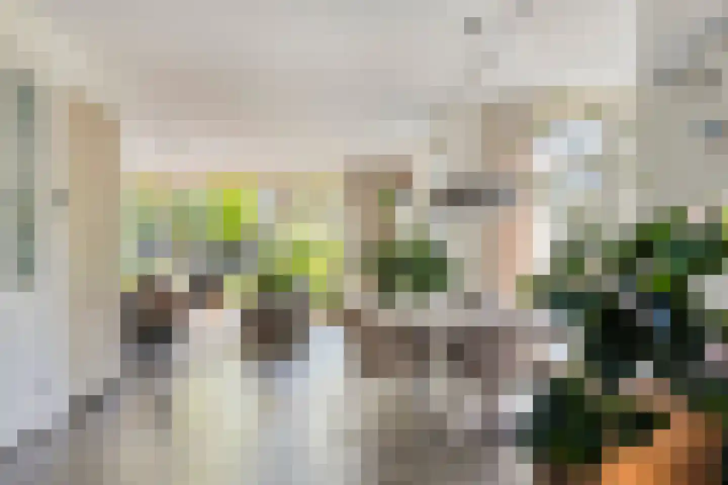 Koningsduin 19 Castricum thumbnail 7