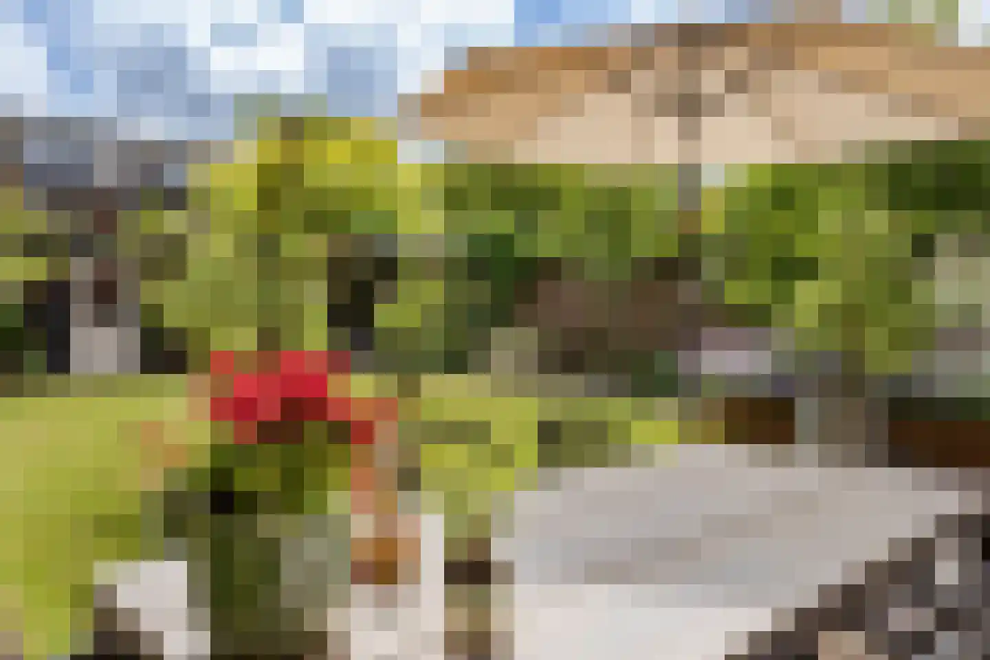 Koningsduin 21 Castricum thumbnail 22