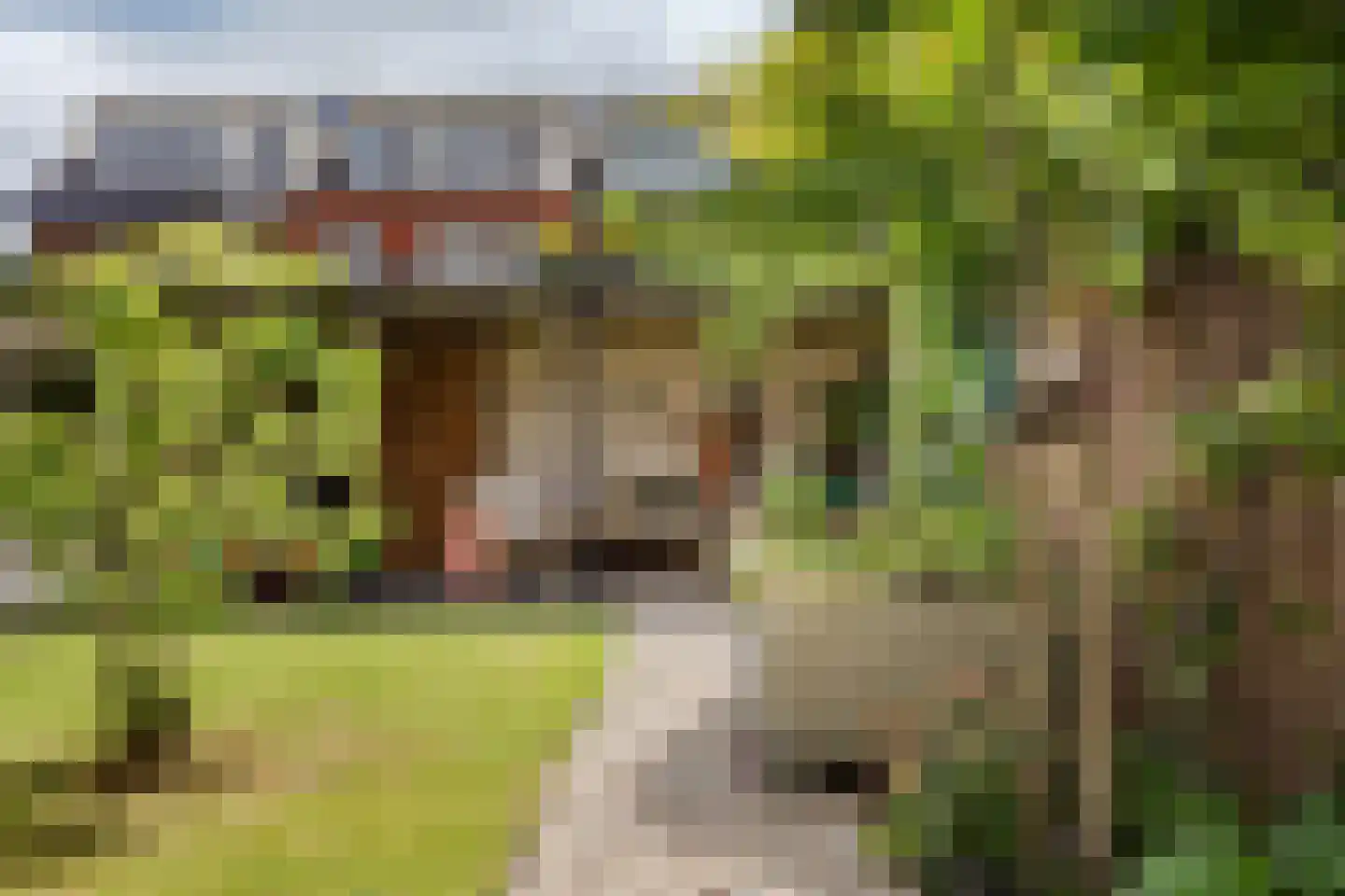Koningsduin 21 Castricum thumbnail 24
