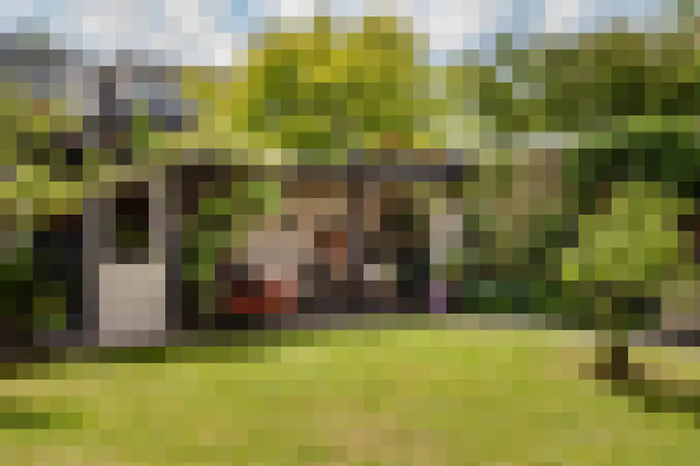 Koningsduin 21 Castricum thumbnail 25
