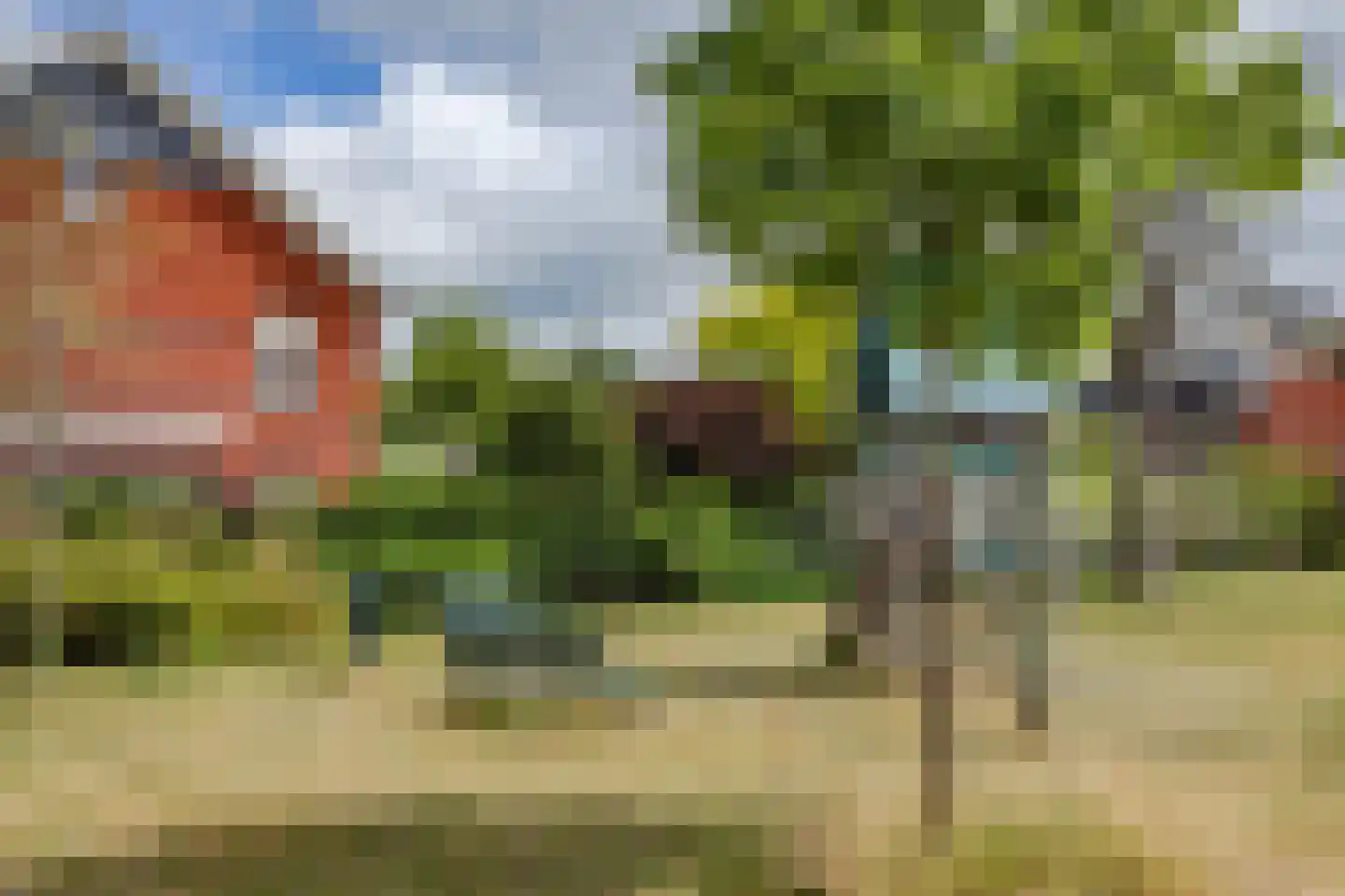 Koningsduin 21 Castricum thumbnail 29