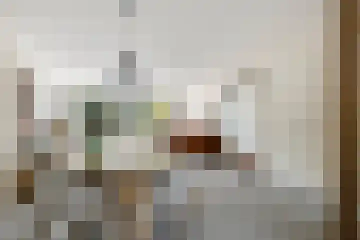 Koningsduin 63 Castricum thumbnail 16