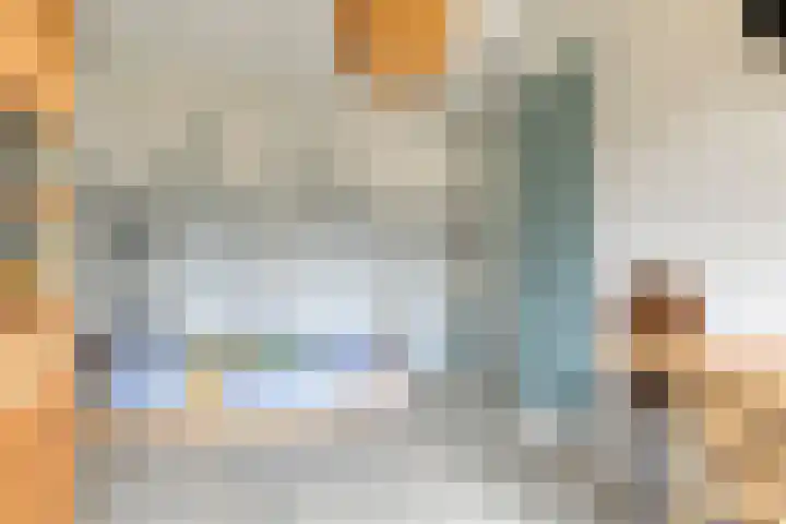 Koningsduin 63 Castricum thumbnail 31