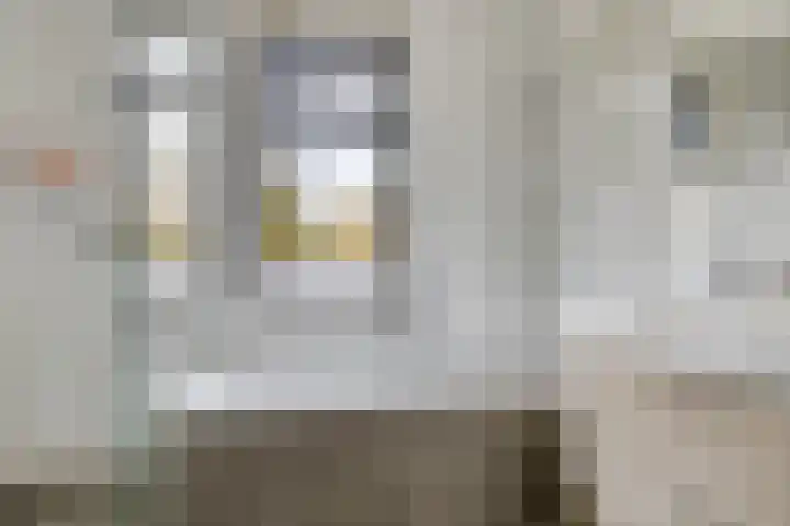 Koningsduin 63 Castricum thumbnail 32