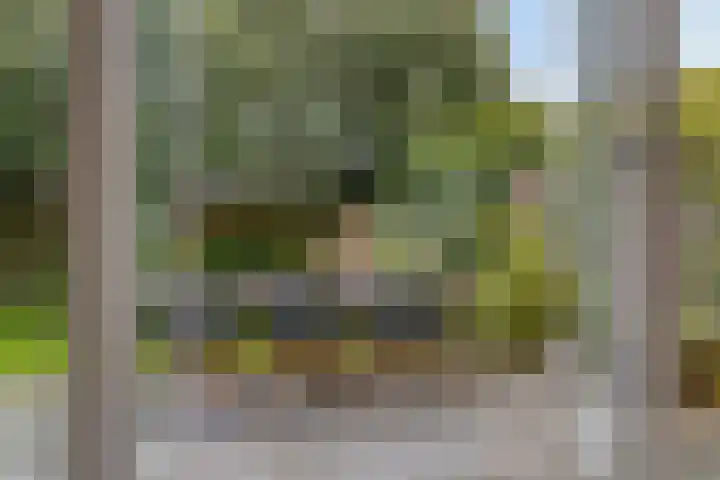 Koningsduin 63 Castricum thumbnail 45