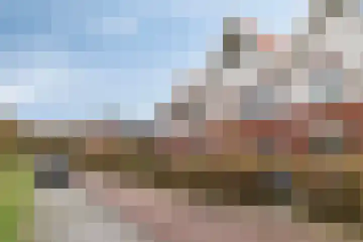 Koningsduin 63 Castricum thumbnail 56