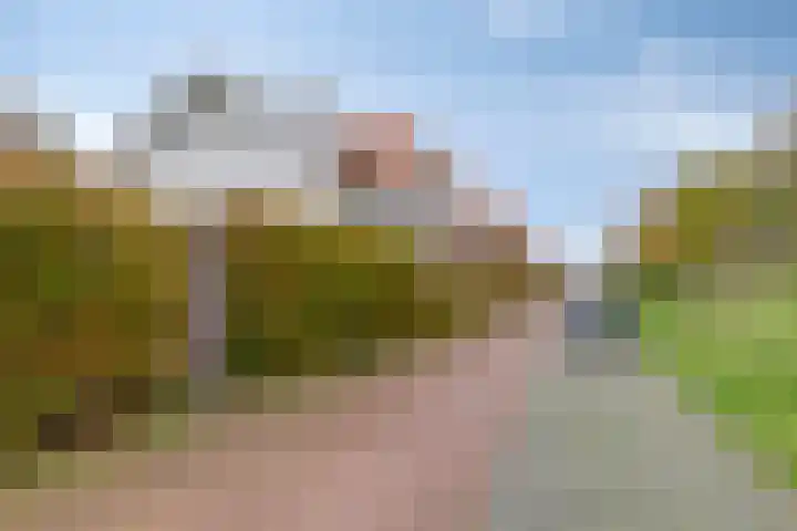 Koningsduin 63 Castricum thumbnail 57