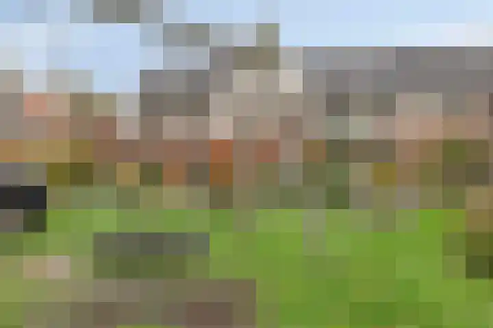 Koningsduin 63 Castricum thumbnail 59
