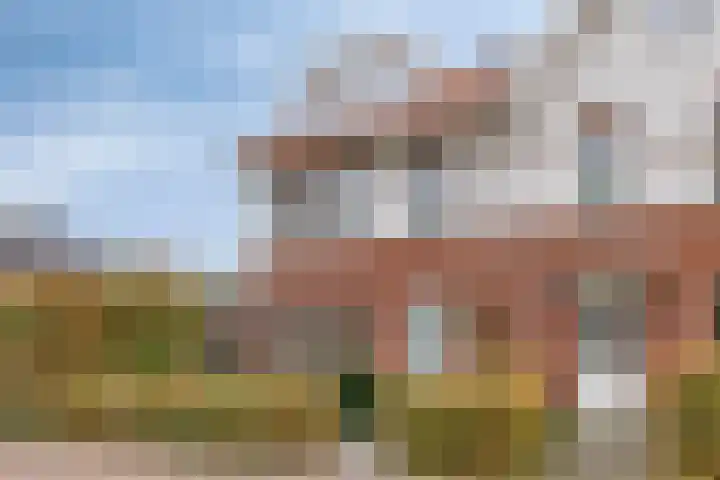 Koningsduin 63 Castricum thumbnail 7