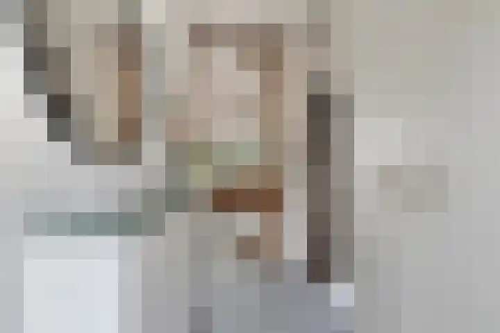 Koningsduin 63 Castricum thumbnail 8