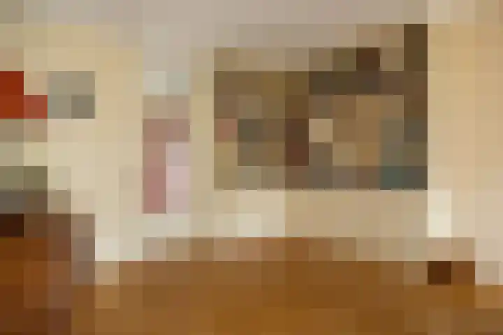 Koningshoeven 15 's-Hertogenbosch thumbnail 16
