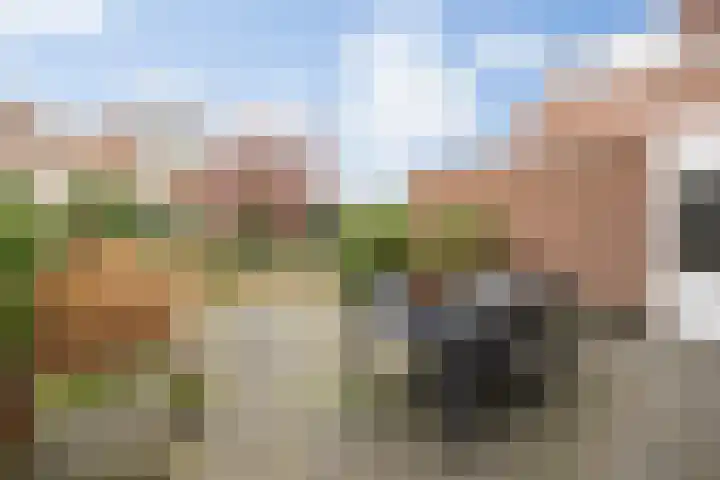 Koningshoeven 15 's-Hertogenbosch thumbnail 31