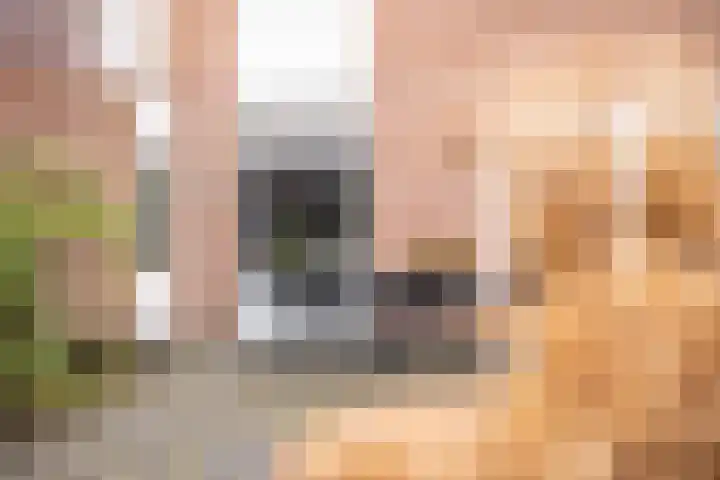 Koningshoeven 15 's-Hertogenbosch thumbnail 32