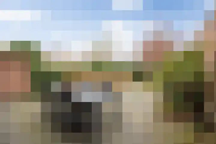 Koningshoeven 15 's-Hertogenbosch thumbnail 34
