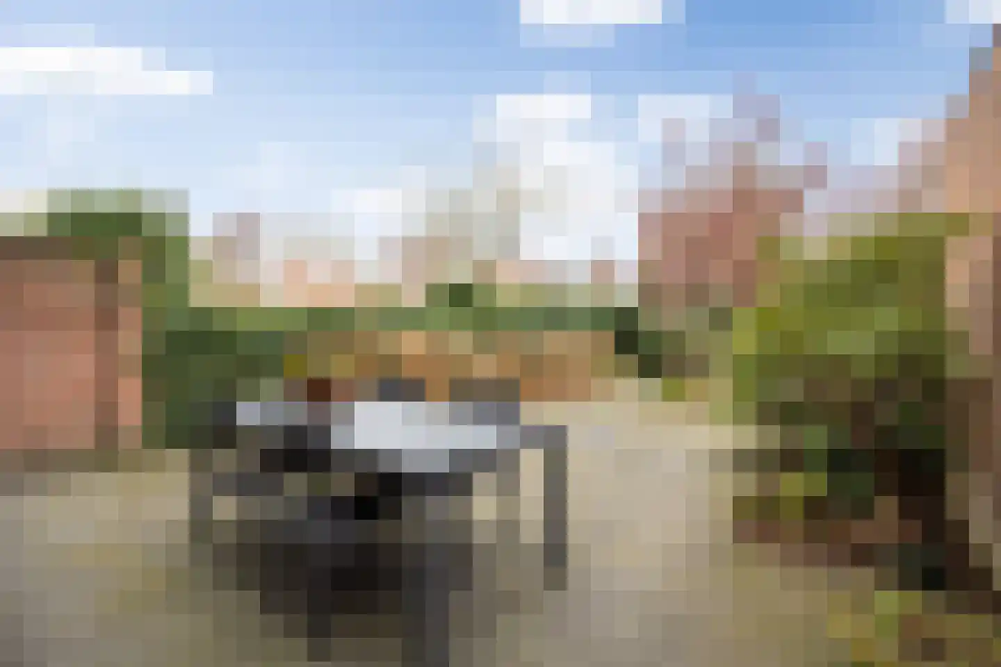 Koningshoeven 15 's-Hertogenbosch thumbnail 34