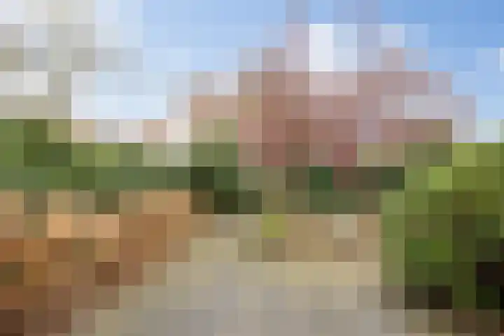 Koningshoeven 15 's-Hertogenbosch thumbnail 35