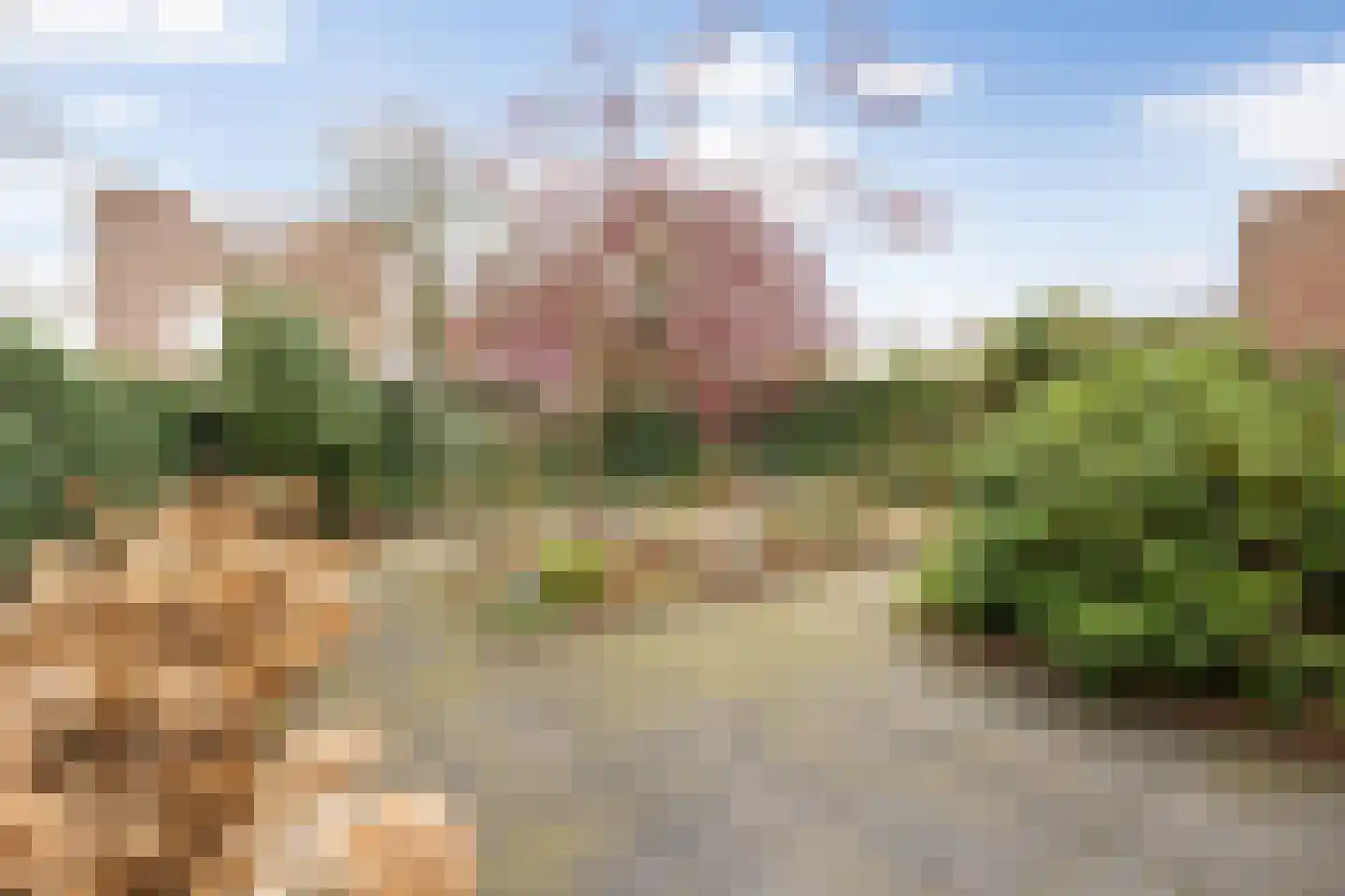 Koningshoeven 15 's-Hertogenbosch thumbnail 36