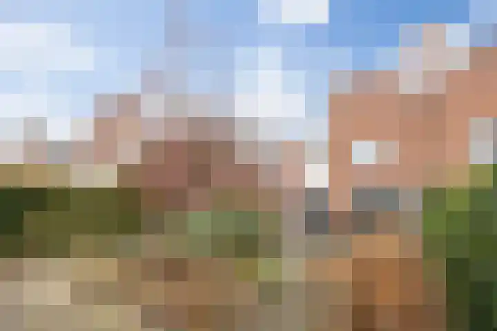 Koningshoeven 15 's-Hertogenbosch thumbnail 37