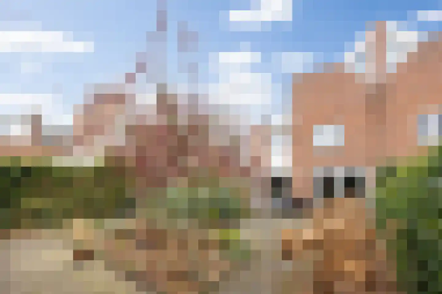 Koningshoeven 15 's-Hertogenbosch thumbnail 37