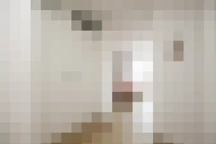 Koningshoeven 15 's-Hertogenbosch thumbnail 42