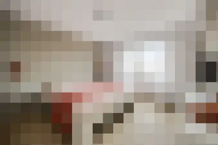 Koningshoeven 15 's-Hertogenbosch thumbnail 43