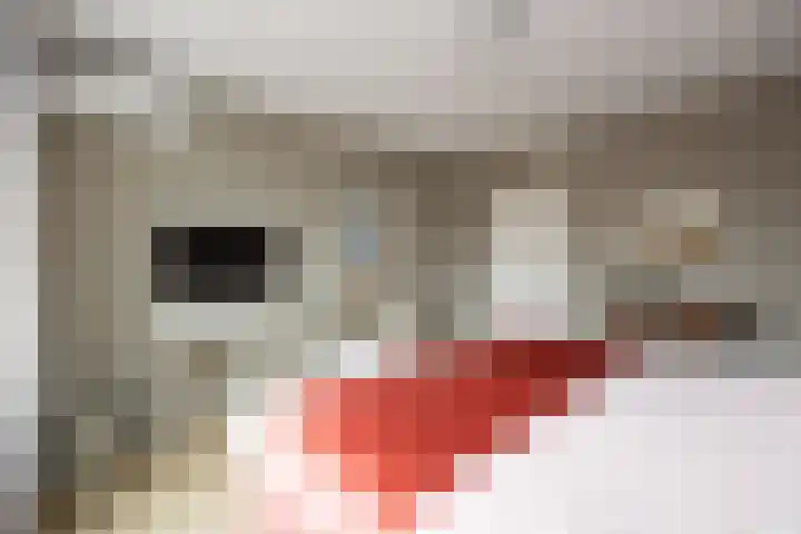 Koningshoeven 15 's-Hertogenbosch thumbnail 44