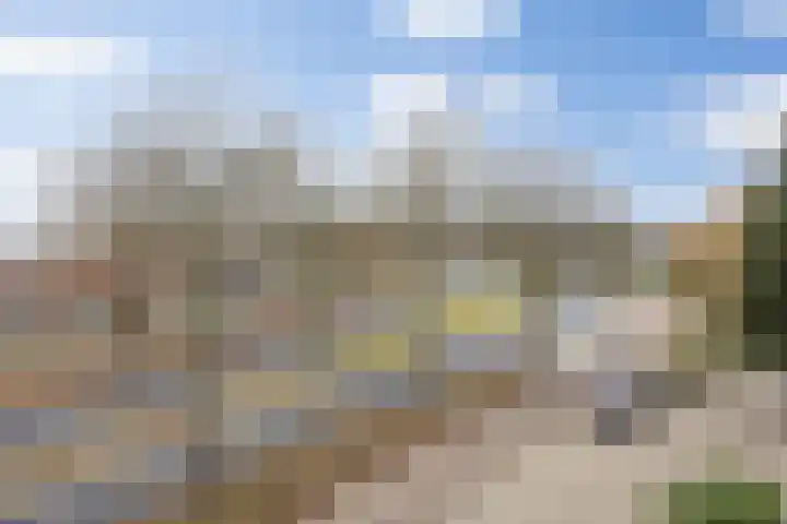 Koningshoeven 15 's-Hertogenbosch thumbnail 61