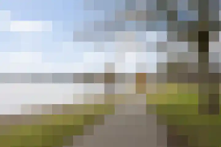Koningshoeven 15 's-Hertogenbosch thumbnail 68