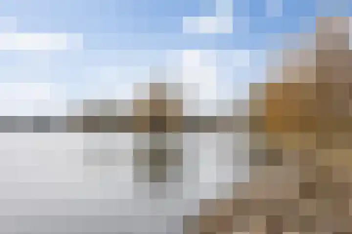 Koningshoeven 15 's-Hertogenbosch thumbnail 69