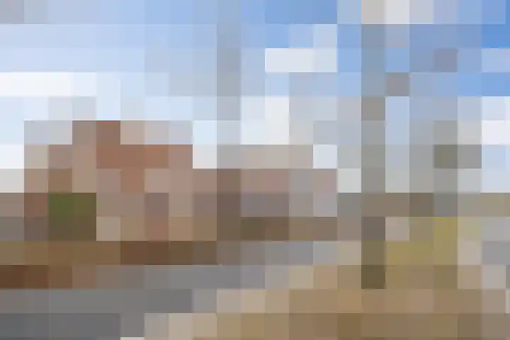 Koningshoeven 15 's-Hertogenbosch thumbnail 9
