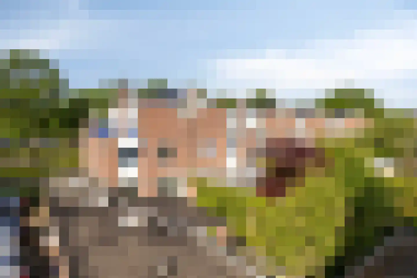 Koningshoeven 7 's-Hertogenbosch thumbnail 30