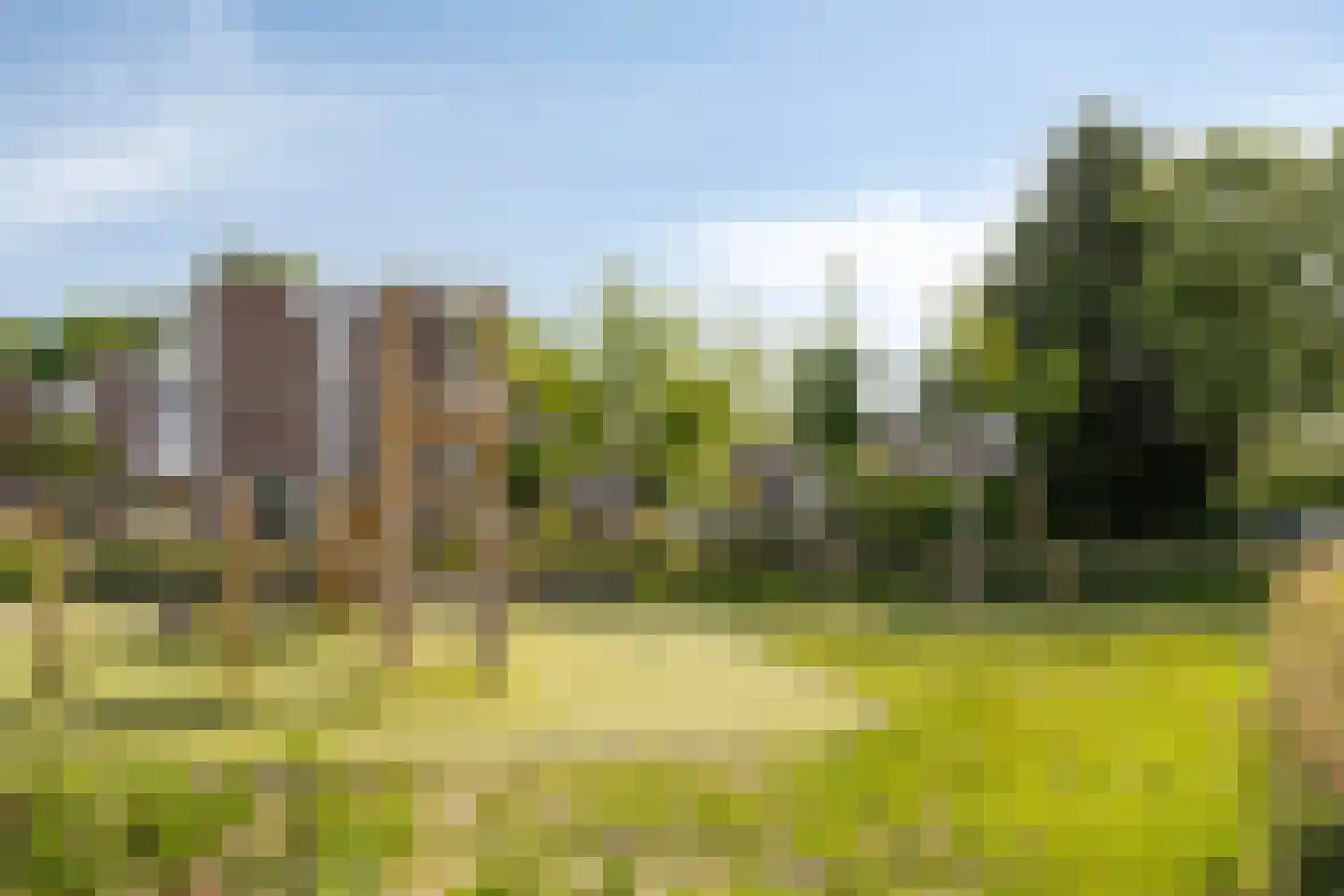 Koningshoeven 7 's-Hertogenbosch thumbnail 33