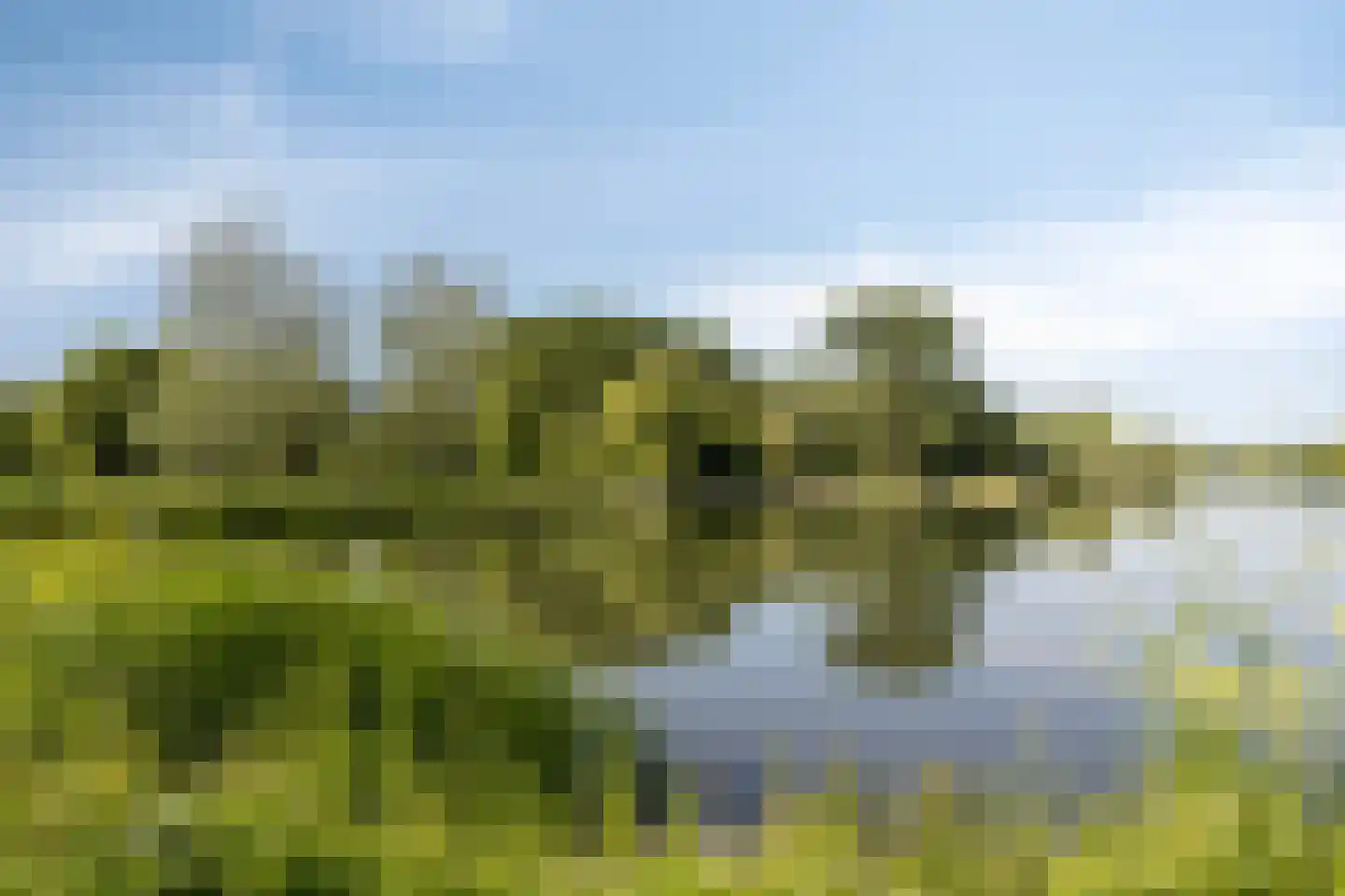 Koningshoeven 7 's-Hertogenbosch thumbnail 37