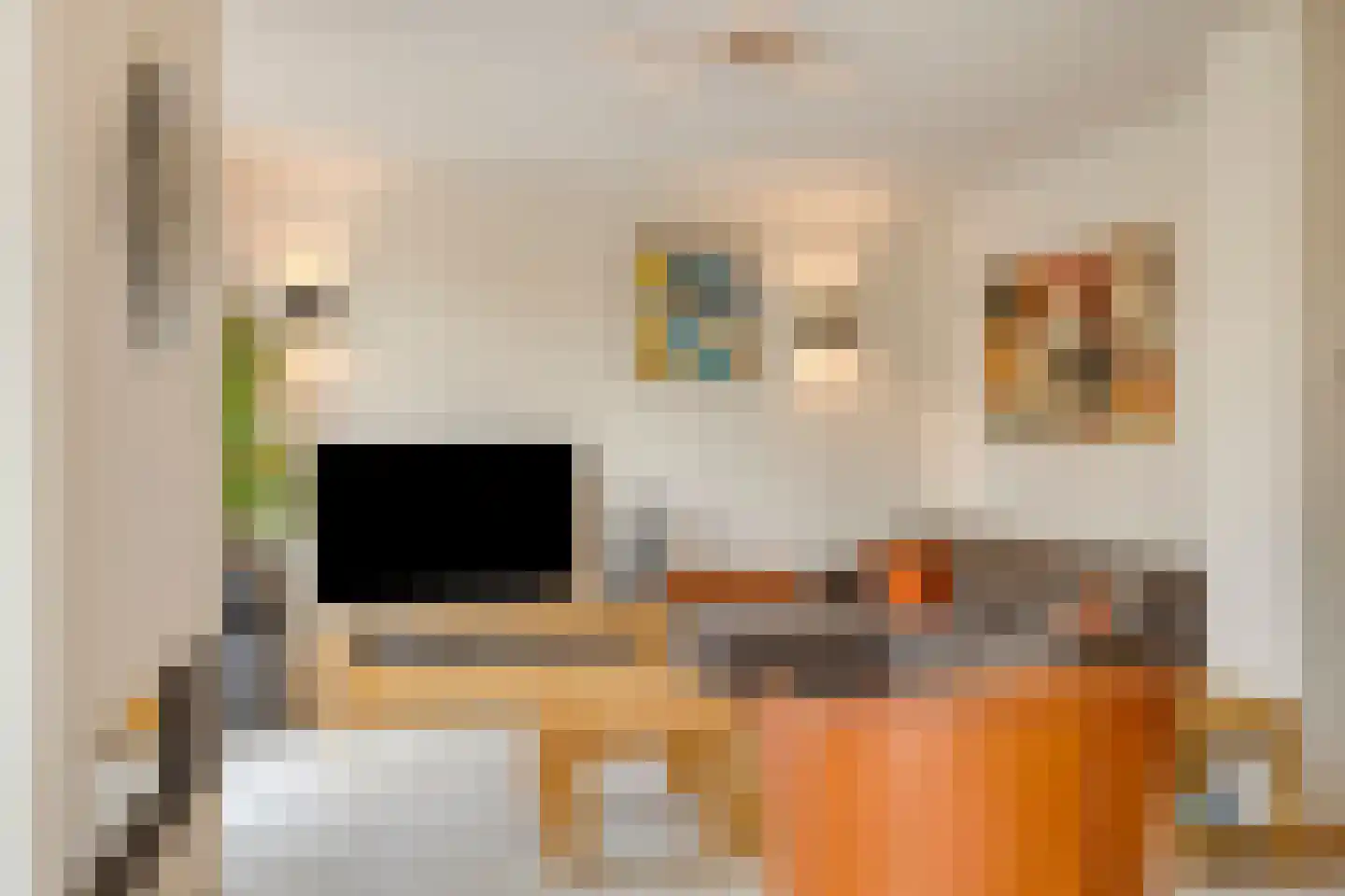Koningshoeven 7 's-Hertogenbosch thumbnail 9