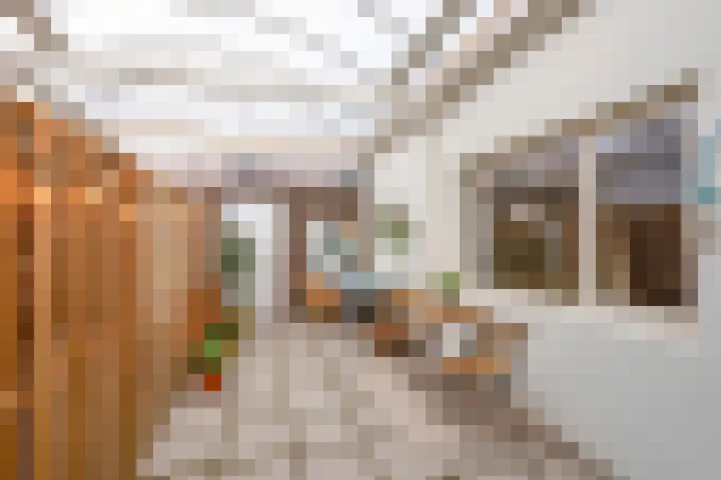 Koningshof 1 A Hilversum thumbnail 18