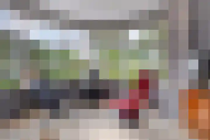Koningshof 1 Riel thumbnail 14