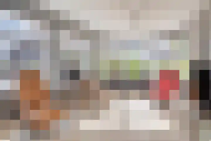Koningshof 1 Riel thumbnail 15